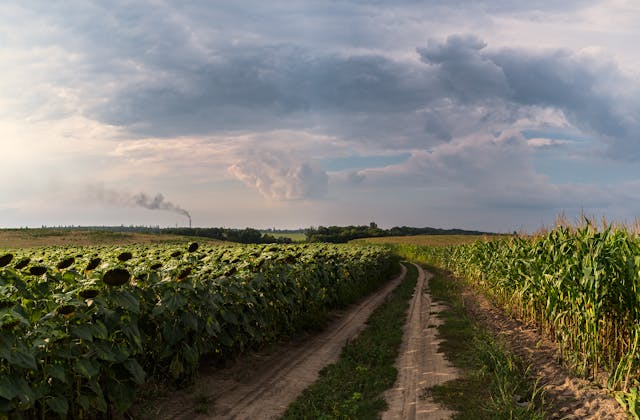 La Agricultura del Futuro